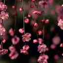 Aman (@01849441307) Twitter