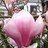 Twitter result for Blooming Marvellous from Simoncitizen