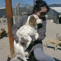 @NidaCetinsahin