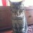 Twitter result for AA Loans from sflpunter