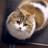 2018/02/12 20:26 miki