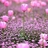 anna lee
@AnnaAklee0517 AnnaAklee0517