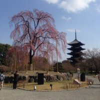 @fukui_ryo