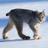 Twitter result for AA Loans from PatriceBoivin