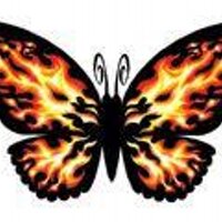 Flamming Butterflies