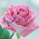 ام محمد اللبنانية (@01098765) Twitter