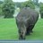 Twitter result for Gardening Direct from johnojohno123