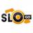 RTVSlogo