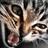 Neal Rauhauser's December 2013 Tweets before going dark. 33b88fa6cf7c3c67e125b81ce445160c_normal