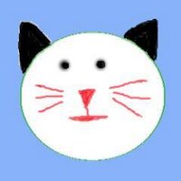 @kittytopia