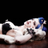 ALTGirl Lex Ellyss on Twitter ALTGirl Lex Ellyss on Twitter