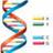 Bioinformatics
