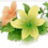 @unlien_npo