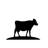Thisisdairyfarming