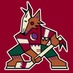 Phoenix_Jet - Phoenix Jet - NY Jets, Coyotes, Hokies, NYI, Observer, Traveler, Yotes season ticket holder Phoenix_Jet - Phoenix Jet - NY Jets, Coyotes, Hokies, NYI, Observer, Traveler, Yotes season ticket holder