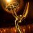Television Academy