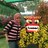 Twitter result for Dorothy Perkins from AminNurin
