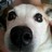 横川怜央 Twitter