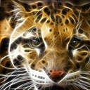 عامر القرشي (@00Amer1985) Twitter