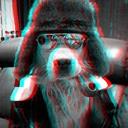 Dog (@00Leonova) Twitter