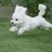 Twitter result for QVC from Imaco322