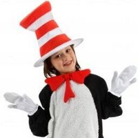 @costumes_com_au
