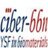 CIBER-BBN-YSF Biomat