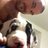 Gay Porn Star STR8 Cam on Twitter Gay Porn Star STR8 Cam on Twitter