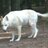 MyStockPickingDog™
