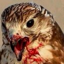 ابوخالد البطل (@0041Ibrahem) Twitter