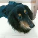 嶋本 英祐 (@0206Eisuke) Twitter