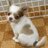 Twitter result for Betterware from colibri_87