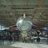 XH558Yorkshire