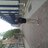 williamviberg97