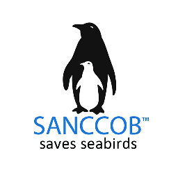 Image result for sanccob