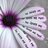Twitter result for Kaleidoscope from LBGrantAuthor