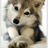 Twitter result for Bargain Crazy from britti777