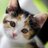 Twitter result for Amazon UK from MimiJompi