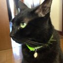 ようかん (@020393353165) Twitter