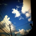 本音** (@000000060200) Twitter