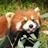 @minaran