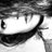 profile rt