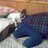 Twitter result for New Now from BigDaddyCool724