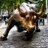 Market News