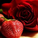 روز (@01Rosetami) Twitter