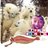 @4690spitz