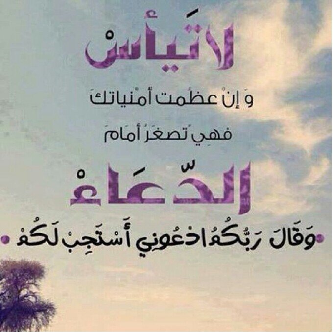 User name