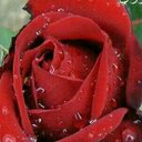 مــيــمــي (@01010_meme) Twitter