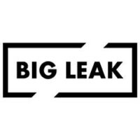 @bigleaktv