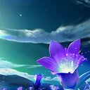 Bappy khan (@01917145171) Twitter